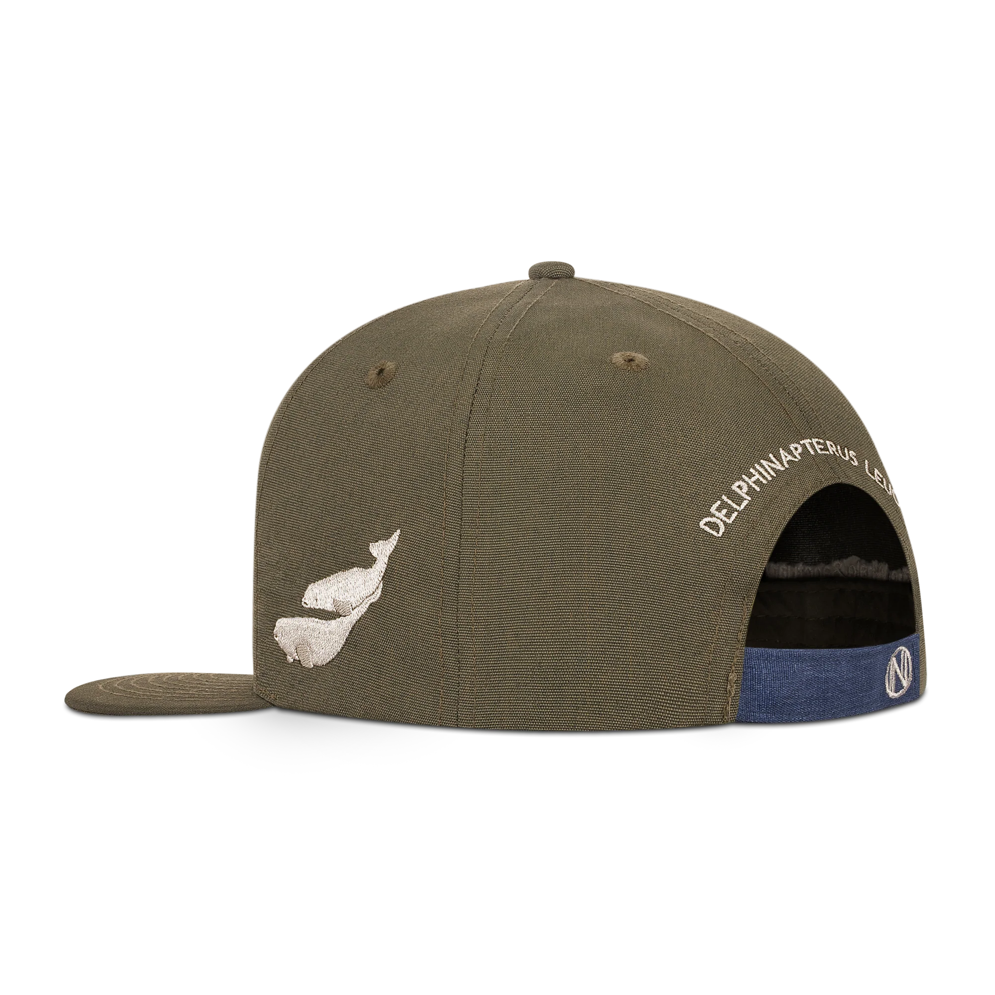 Delphinapterus Leucas - Image 3