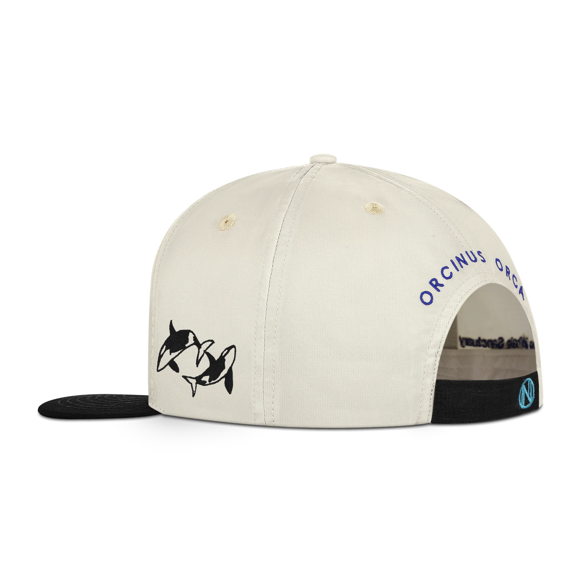 Orcinus Orca - Image 3